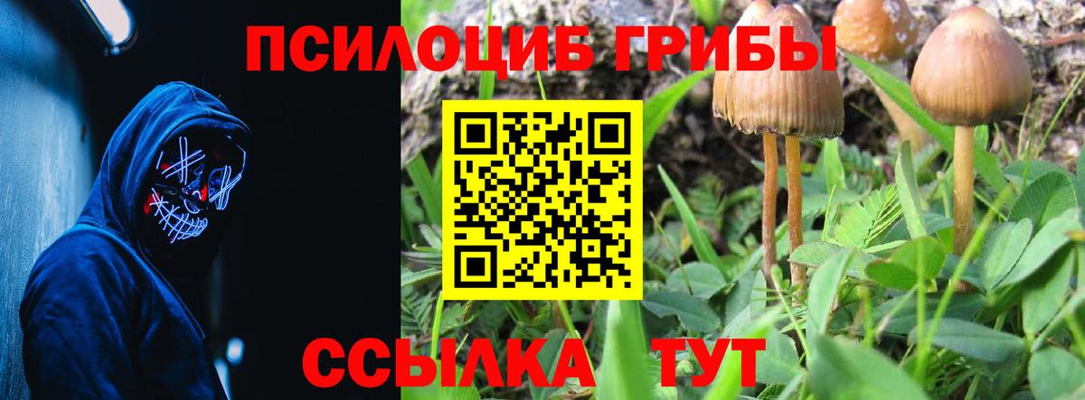 Псилоцибиновые грибы Psilocybine cubensis  Вход с VPN  Балашиха 