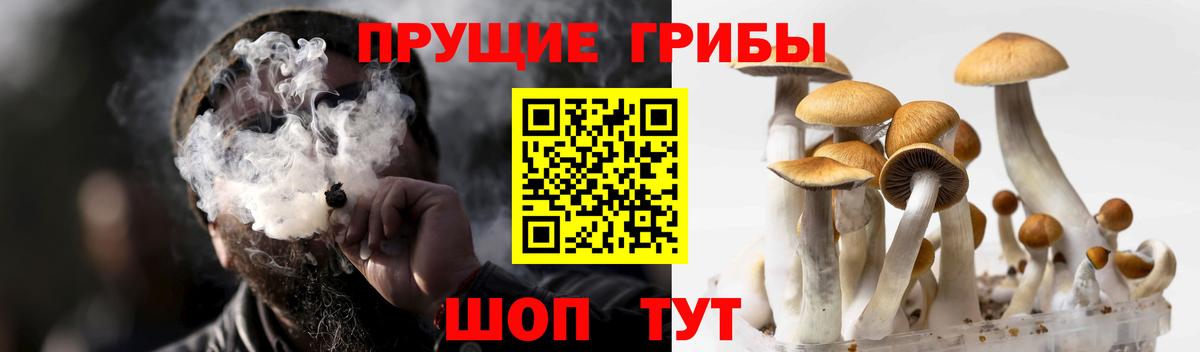 Псилоцибиновые грибы MAGIC MUSHROOMS Балашиха